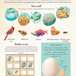 Natura, carte de activitati, Usborne