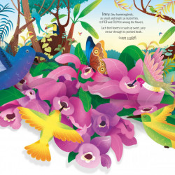 Pop-Up Birds, Laura Cowan, Usborne