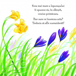 Primavara - Aventura Iepurasului - Anita Loughrey,Daniel Howarth