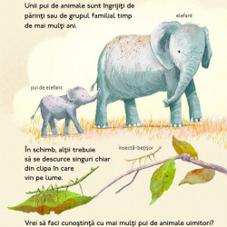 Pui de animale uimitori