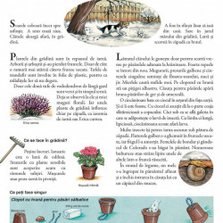 Un an in gradina mea