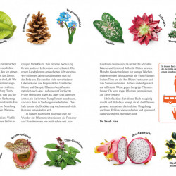 Carte in limba germana despre plante, Pflanzen, dk, 8+
