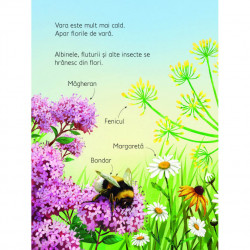 Descopar lumea : Anotimpurile, usborne