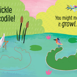 Don't Tickle the Crocodile!, Sam Taplin, 6+, Usborne