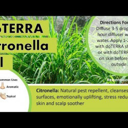 Ulei esential citronella, 15 ml, doterra
