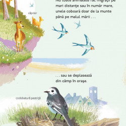 Calatorii uimitoare ale animalelor, Chris Packham