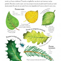 Cartea padurii, usborne