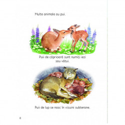 Descopar lumea : Anotimpurile, usborne