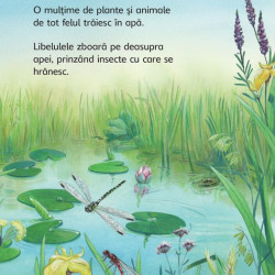 Lacuri și balti, Usborne