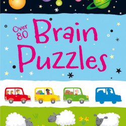 Over 80 Brain Puzzles