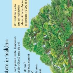 Arborii, usborne
