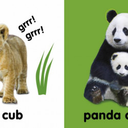 Baby Touch and Feel Cuddly Animals, DK