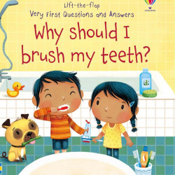 Carte cu multe clapete pentru copii curiosi, Why Should I Brush My Teeth?