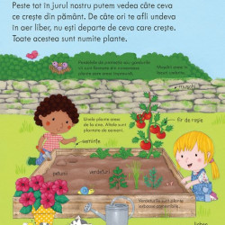 Cum cresc plantele, usborne