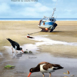 Pe plaja, usborne