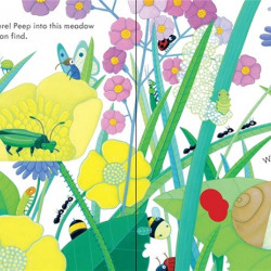 Peep inside bug homes, usborne