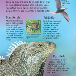 Prima mea enciclopedie despre animale, Usborne