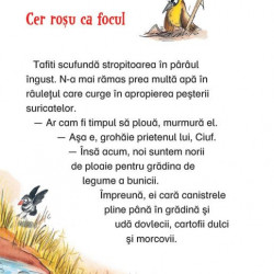 Tafiti si focul din savana, Universul enciclopedic junior