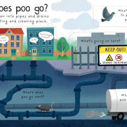 Where Does Poo Go? - Katie Daynes, Usborne, 4+