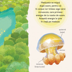 Calatorii uimitoare ale animalelor, Chris Packham