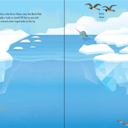 First Sticker Book Narwhals, Usborne