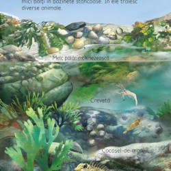 Pe plaja, usborne