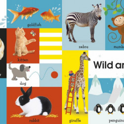 100 First Words, Dorling Kindersley's, dk
