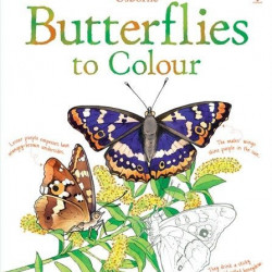 Butterflies to Colour
