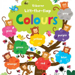 Carte cu multe clapete pentru copii curiosi, Lift the flap Colours, usborne