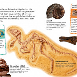 Carte in limba germana cu stickere, Sticker-Lexikon, Dinosaurier, dK, 4+