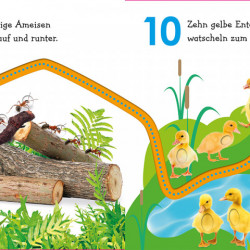 Carte in limba germana, senzoriala, invata sa numeri cu Maxi, Mein buntes Fingerspuren-Buch. Lerne zählen mit Maxi, dk, 1+