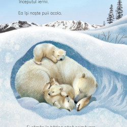 Ce se intampla sub pamant? - Usborne