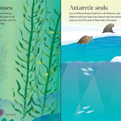 First Sticker Book Narwhals, Usborne