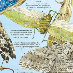 Marea carte a fluturilor si a altor insecte (Usborne)