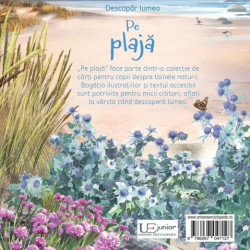 Pe plaja, usborne