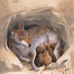 Pui de animale, Usborne