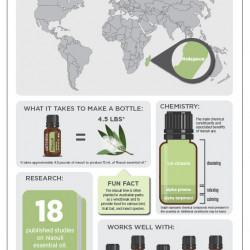 Ulei esential Niaouli, 15 ml, doterra
