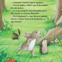 Bursucul si marea furtuna