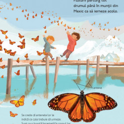 Calatorii uimitoare ale animalelor, Chris Packham