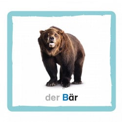 Carduri in limba germana, Meine ABC-Spielbox, dK, 5+