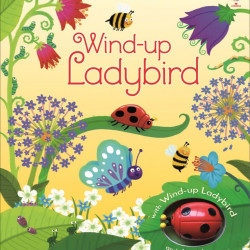 Carte cu jucarie Wind-up ladybird