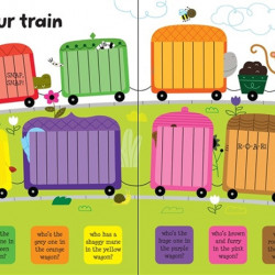 Carte cu multe clapete pentru copii curiosi, Lift the flap Colours, usborne