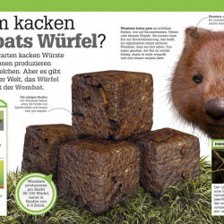 Carte in limba germana, Alles Kacke, oder was? dk, 7+