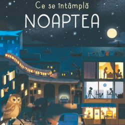 Ce se intampla noaptea, usborne