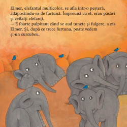 Elmer si curcubeul - David McKee