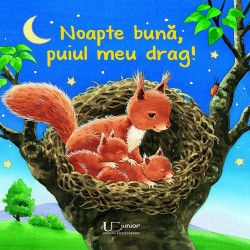 Noapte buna, puiul meu drag!