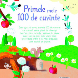 Primele mele 100 de cuvinte (Usborne)