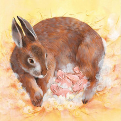 Pui de animale, Usborne