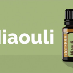 Ulei esential Niaouli, 15 ml, doterra