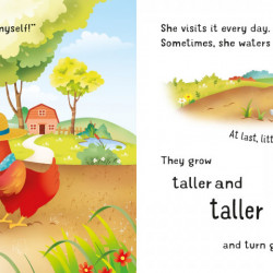 Usborne little board books, The Little Red Hen, 2+